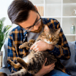 adopta-un-gato-y-se-feliz.alt