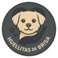 huellitas-de-brisa-adopciones-de-mascotas.alt