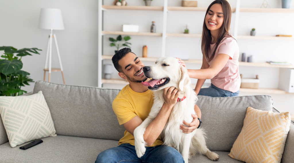 famila-adoptante-de-perrito.alt